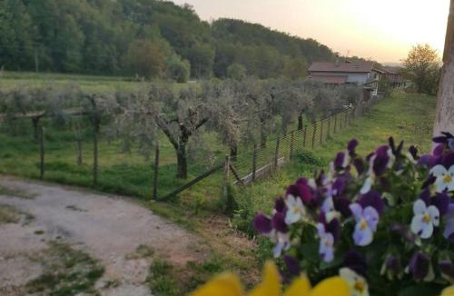 Arpino House | Casa Vacanze Minula - Indipendent Country House