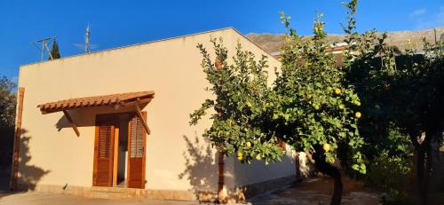 Castelluzzo Apartment | Case Vacanza Poma