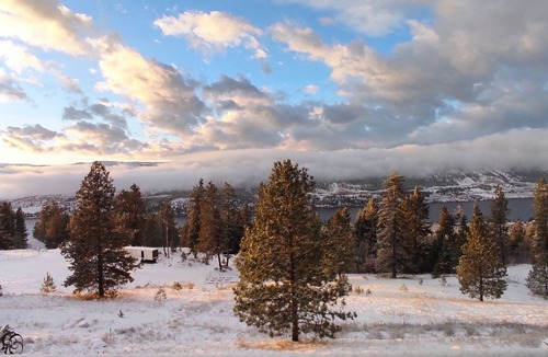 Central Okanagan House | Charming 2-bedroom suite in Lake Country with AC, WiFi.