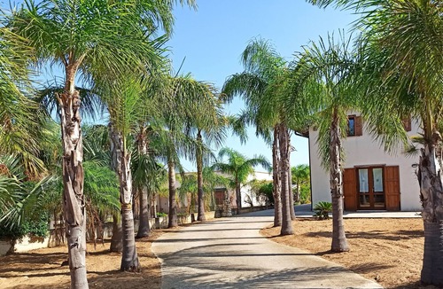 Alcamo Villa | Confortevole e Romantica Villa con Patio Alberato