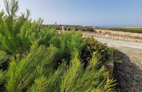 Lampedusa Apartment | Dammusi Gattuso