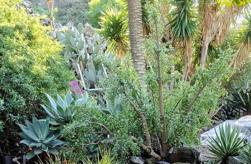 Pantelleria House | Dammuso Magia con Piscina