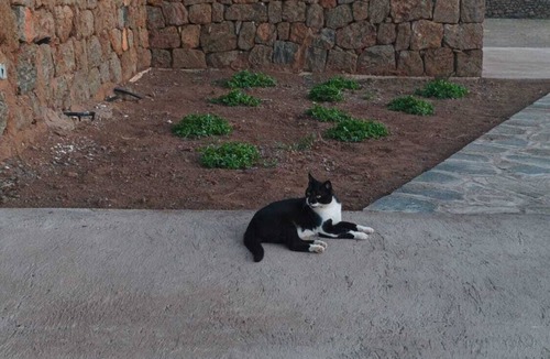 Pantelleria Villa | Dammuso Riah Deluxe a few steps from the sea of Pantelleria