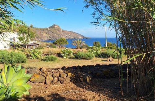 Pantelleria Apartment | Dammuso Surya Il cappero monolocale