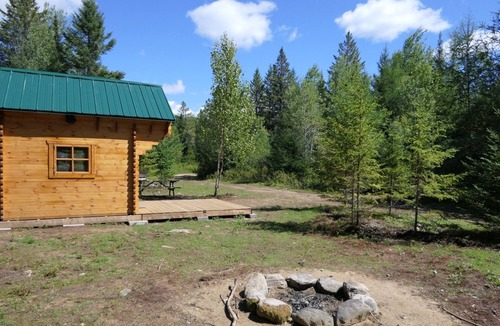 Hastings Highlands Cabin | Deer Meadow #1