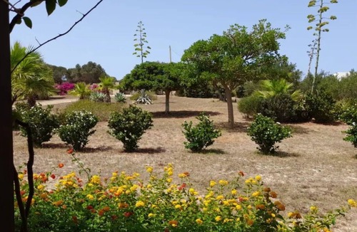 Favignana House | Detached villa in quiet area close to beaches animals allowed