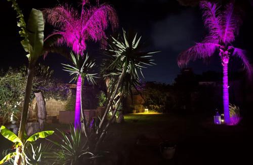 Favignana House | Dimora Tammaro