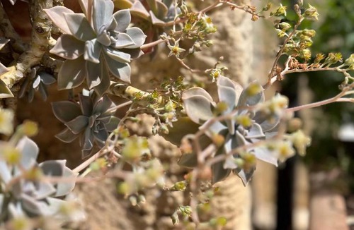 Altivole Bed & Breakfast | Dolce Vita