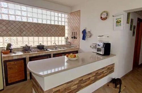 Lampedusa House | Elisa's House in the Countryside with cat