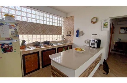 Lampedusa House | Elisa's House in the Countryside with cat