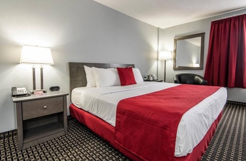Grande Prairie Hotel | Enjoy Modern Comfort in Clean Room, Steps from Majors Restaurant