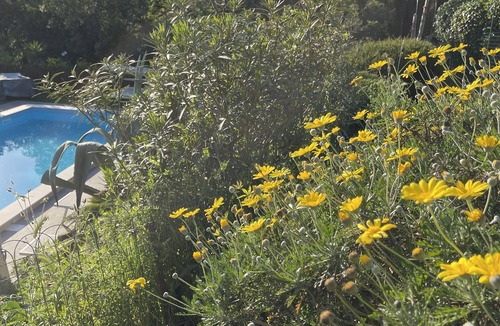 Aprilia Apartment | Eremo Tufetto Vidya near Rome Magic Atmosphere