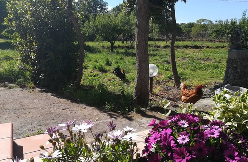 Maletto Villa | Etna, sage and rosemary