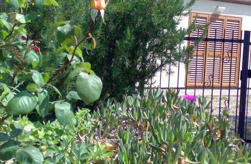 Cavo Apartment | Farmhouse/Chalet in the Archipelago Park, Nature, Sea, Culture, Relax
