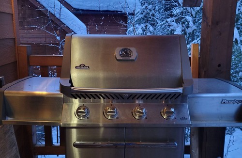 Golden Ski Chalet | Gunners Lodge - True Ski-In/Ski-Out, Hot Tub, Sleeps 13