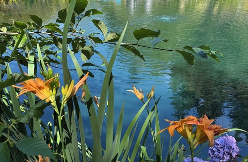 Metchosin Apartment | Hidden Pond Gong Suite - Luxury , Pet Friendly, with Hot Tub and Private Beach