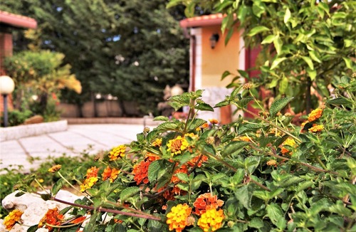 Balestrate House | Holiday house Balestrate for 2 - 4 persons with 2 bedrooms - Twin house