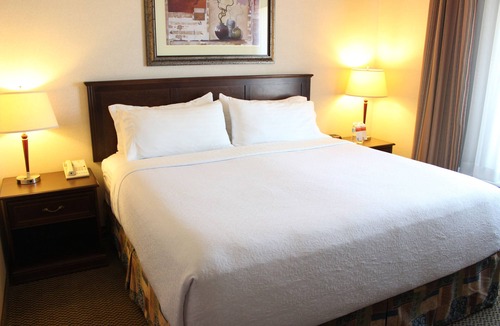 Northwest Edmonton Hotel | Holiday Inn Hotel & Suites West Edmonton by IHG