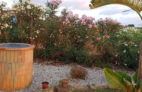 Trapani House | Homerez - House Palma, shared pool