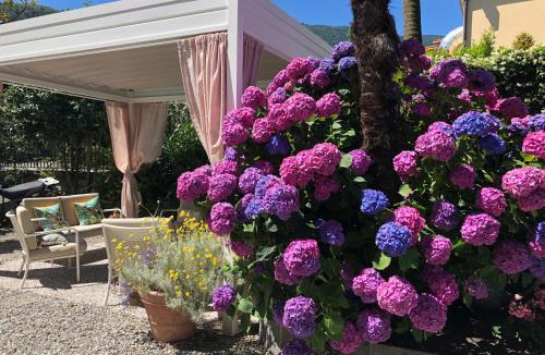 Cannobio Hotel | Hotel Antica Stallera