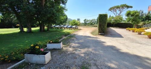 Colonia Elena Hotel | Hotel Le Pleiadi