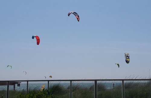 Lido dei Pini House | House/Villa - Anzio