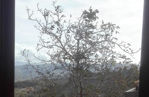 Orvinio Bed & Breakfast | Il Sorriso Dei Monti