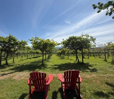 North Oyster Cabin | Kiwi Cove Lodge