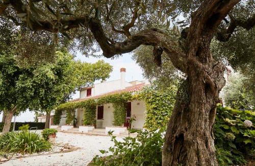 Marsala House | La Casa Bianca