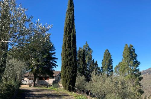 Gagliano Castelferrato House | La Casa Delle Olive