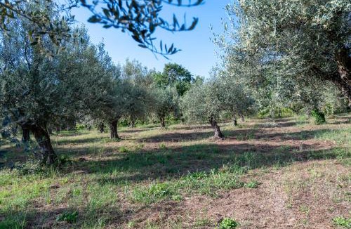 Lanuvio Apartment | La casa di Maurizio