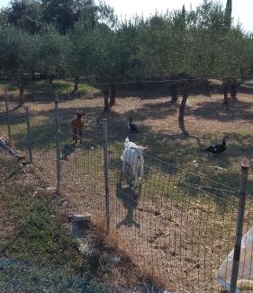 Latina House | la casa di simone