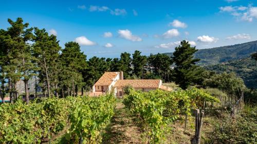 San Marco d'Alunzio Villa | La Collina dei Nebrodi