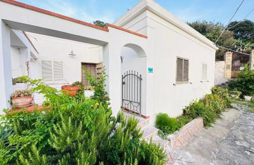 Ponza Apartment | La Donzella - Immobilevante