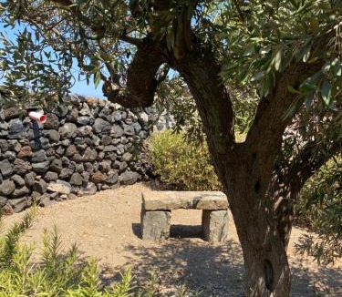 Kamma House | La Kuddia
