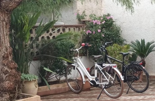 Marsala Villa | La Mimosa Bio island of Mothia FREE WI-FI FREE PARKING