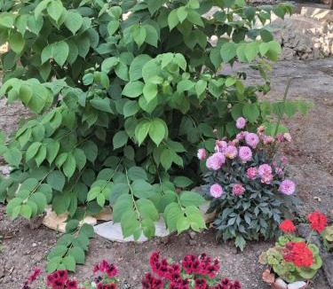 Alcamo House | La Rugiada-con giardino e parcheggio moto privato