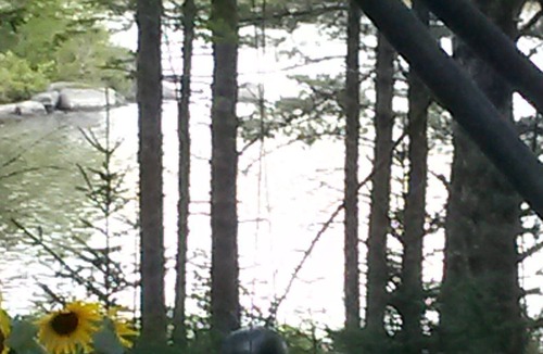 Lunenburg County Cabin | Lakefront log cabin in the woods