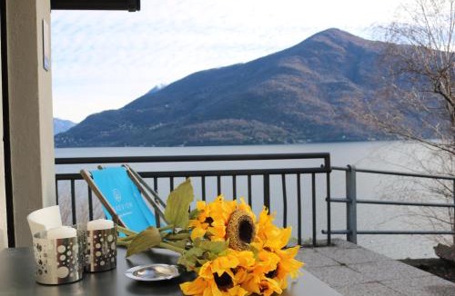 Cannobio Other | Lakeview Cannobio Camping & Resort