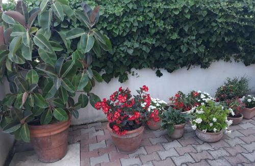 Latina Lido House | Le Bagnanti Di Miro'