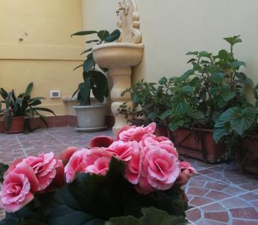 Palermo House | Le Rose del Viale