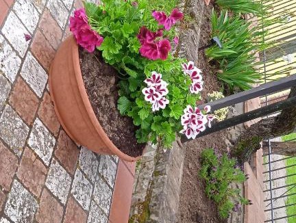 Cortona House | MAGNOLIA