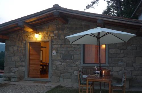 Pratovecchio House | MAGNOLIA TUSCANY HOUSE WITH POOL Agriturismo Poppiena