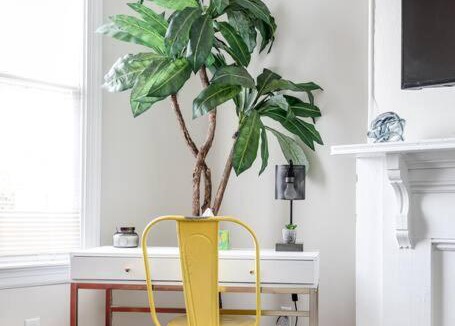 Church Hill Apartment | Modern, Convenient Gem: Urban Retreat 'n Richmond