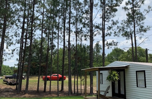 Eastman Cottage | Modern tiny house with large outdoor area and grill.