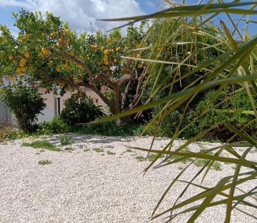 Salemi Apartment | My Sicily Home - Casa con giardino a Salemi