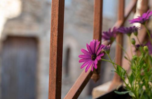 Anagni Apartment | Nido d'amore