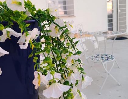 Terrasini House | Oikos Terrasini