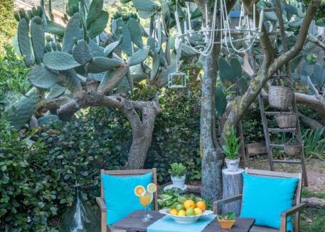 Novara di Sicilia House | Old Noar Private Villa
