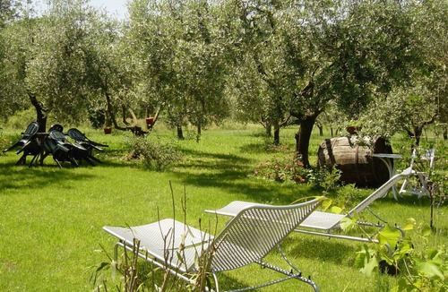 Zagarolo House | Olive Tree Hill Cottage | Peaceful Countryside Retreat Near Rome